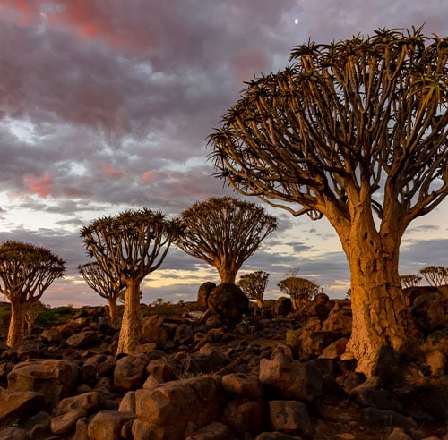 viajes a namibia