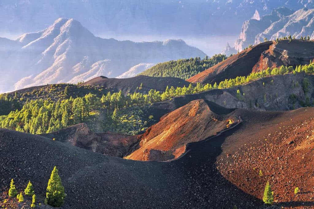 viajar a la palma
