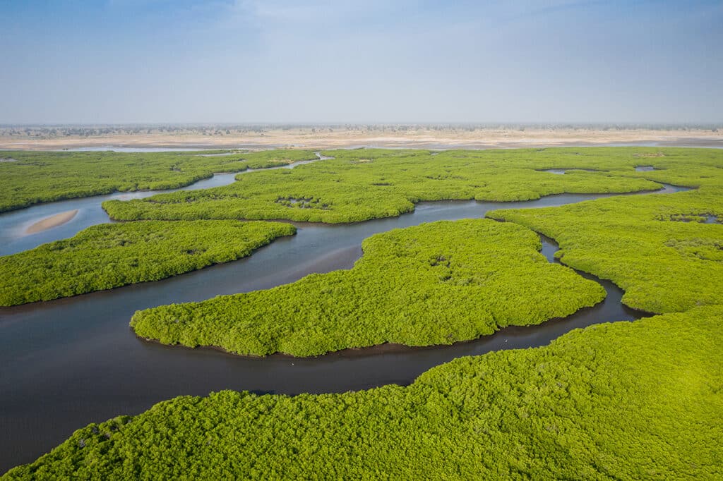 viajar a senegal