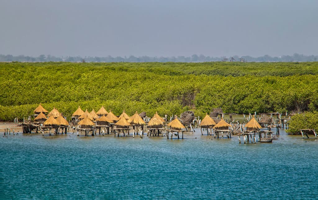 viajar a senegal