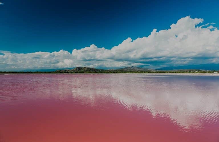 lagos de color rosa