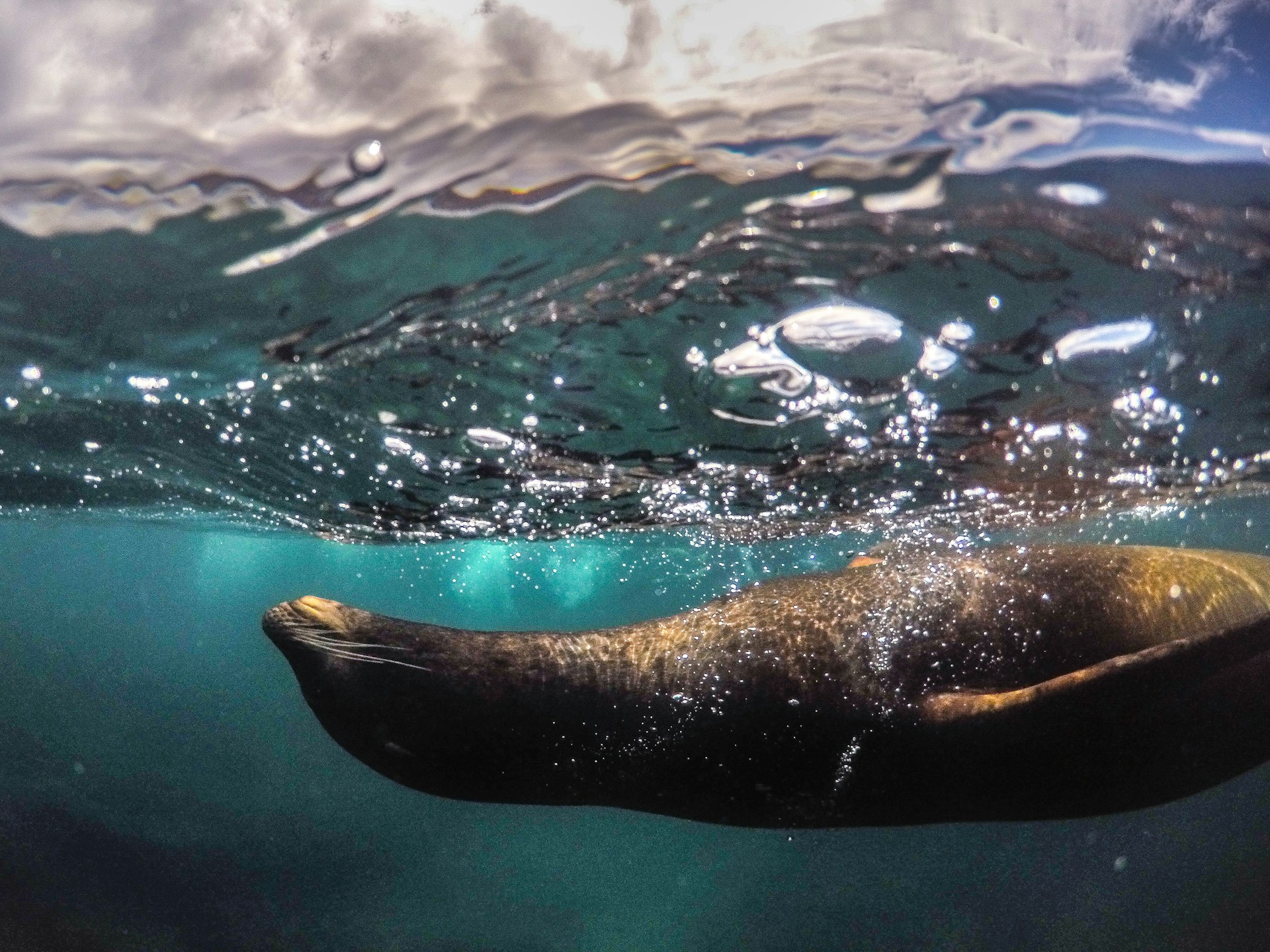 joyas ocultas del snorkel