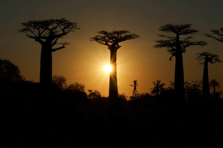 qué ver en madagascar